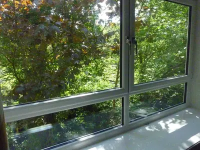 a window with a view of a tree at Paisley Central Apartment #4 in Paisley