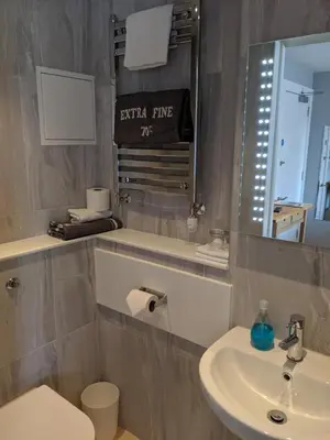 a bathroom with a sink and a toilet and a mirror at Falcon Crest Guest House in Edinburgh