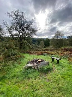 a bench sitting next to a fire in a field at The Nest Glamping Pod in Dalmally