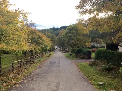 a dirt road in a park with trees and a fence at Dalkell Cottages in Tyndrum