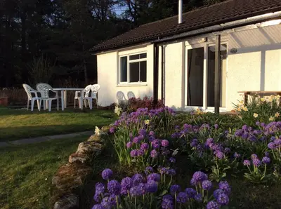 a house with purple flowers in the yard at Dalkell Cottages in Tyndrum