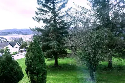 a tree in the middle of a yard with trees at Butler's Apartment. Flat 5, Dalmore House, Helensburgh, Scotland G84 8JP in Helensburgh