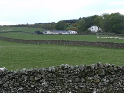 a stone wall in a field with sheep in the background at Boreland Farm in Dunscore