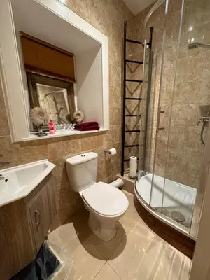 a bathroom with a toilet and a sink and a shower at The West Highland Way Campsite & Campervan Accommodation in Milngavie