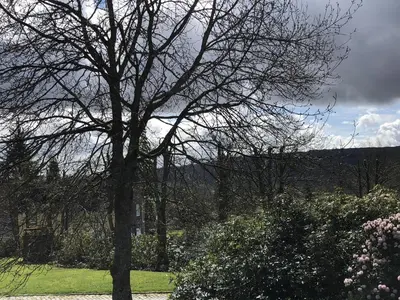 a tree with no leaves on it in a garden at Leny Estate in Callander