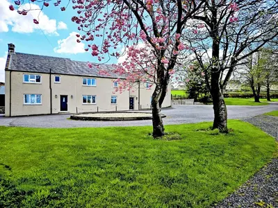 two trees in the grass in front of a building at Smithfield House in Tarbolton