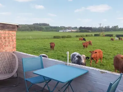 a table and chairs and cows in a field at Honeysuckle Cottage in Springside