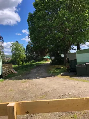 a wooden bench in front of a yard with a tree at 40 Glenfinart Caravan Park in Dunoon