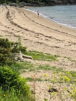 a person walking on a beach with a dog at 40 Glenfinart Caravan Park in Dunoon