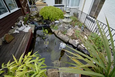 a garden with a pond in front of a house at Craiglockhart Lodge in Edinburgh