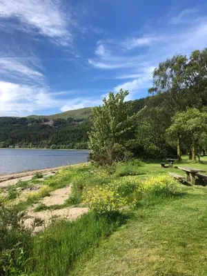 a park next to a lake with a bench and flowers at Lyndhurst 39 in Dunoon