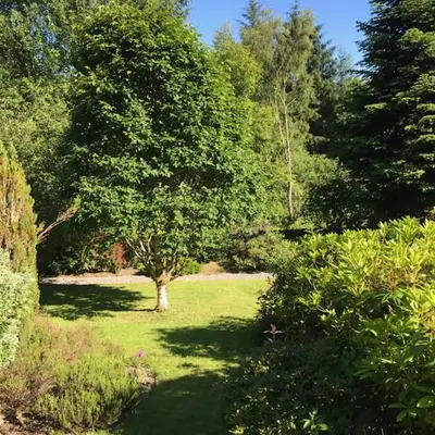 a garden with a tree in the middle of a field at Mews Cottage Ardoch Lodge Strathyre in Strathyre