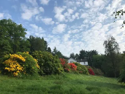a field with colorful bushes and a house in the background at Mews Cottage Ardoch Lodge Strathyre in Strathyre