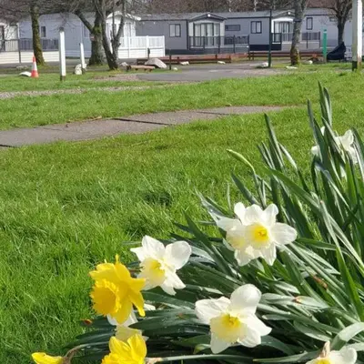 Lomond Woods Holiday Park