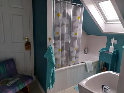 a bathroom with a shower curtain and a sink at Langside Bed and Breakfast in Fenwick