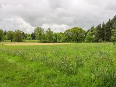 a field of green grass with trees in the background at Gate Lodge in West Calder