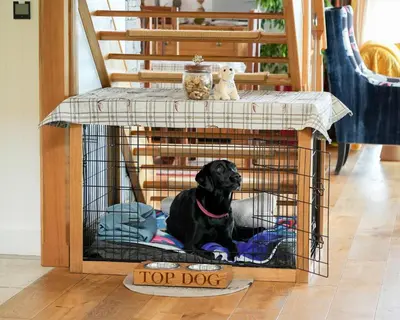 a dog is sitting in a dog cage at Knockderry Lodge -Private Luxury pet-friendly accommodation in Scotland with hot tub in Cove