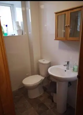 a bathroom with a toilet and a sink at Panoramic Harbour View Apartment in Oban