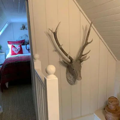 a deer head on the wall of a bedroom at A Fairytale Highland Cottage in Aberfeldy
