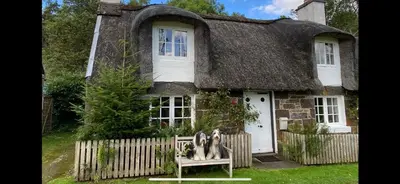 two dogs sitting on a bench in front of a thatched cottage at A Fairytale Highland Cottage in Aberfeldy