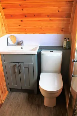 a bathroom with a toilet and a sink at Cairnfold Cabins in Kilsyth