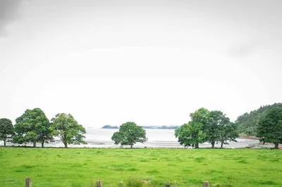 a group of trees in a field next to a body of water at Coachmans Bothy - 50m from the beach in Port Appin