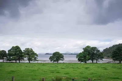 a group of trees in a field near a body of water at Coachmans Bothy - 50m from the beach in Port Appin