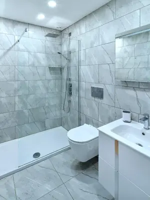 a bathroom with a toilet and a sink and a shower at Blue Watch in Lochaline