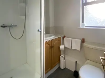 a bathroom with a shower and a toilet and a sink at Puffin - Dubh Segir in Lerags