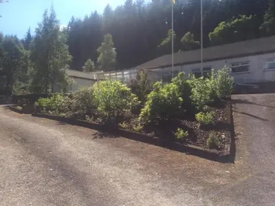 a row of bushes on the side of a road at Sir Andrew Murray House in Strathyre
