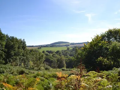 a field of crops with a hill in the distance at The Old Stables At Westerton in Crieff