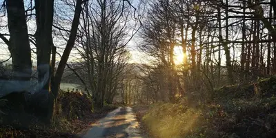 a dirt road with the sun shining through the trees at Ginger's in Stirling