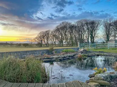 a pond in a field with trees in the background at Rhunahaorine Cottage in Gortinanane