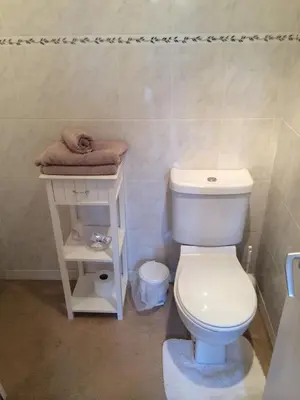 a bathroom with a white toilet and a sink at Don Muir Guesthouse in Oban