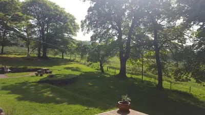 a park with a bench and trees in a field at B&B Drum Farm in Stirling