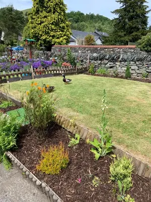 a garden with a duck sitting in the grass at Fab-u-Luss in Luss