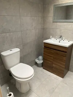 a bathroom with a toilet and a sink at COACHMAN COTTAGE OUTSIDE HOT TUB in Beith