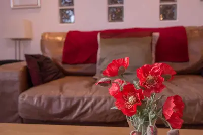 a vase with red flowers on a table in front of a couch at Saligo in Port Charlotte