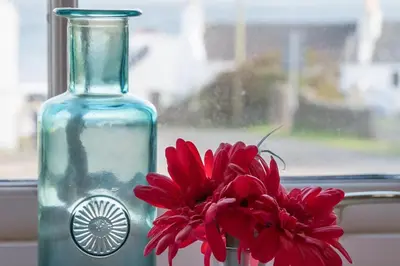 a red flower in a vase next to a glass bottle at Kilchoman in Port Charlotte