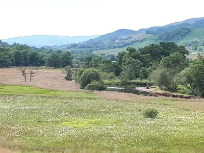a field with a river and a field of flowers at Ben Ledi View in Callander