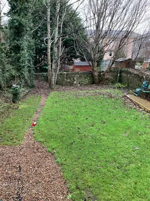 a yard with a grassy yard with trees and a fence at 105 Nelson Street in Largs