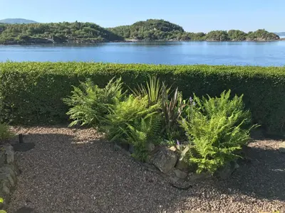 a group of plants in front of a hedge at Fasgadh Rooms in Tarbert