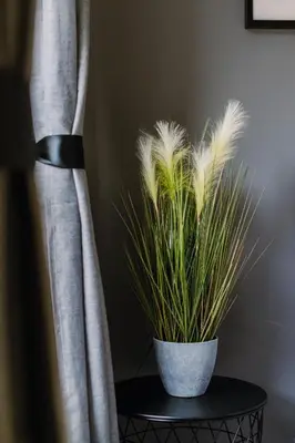 a potted plant sitting on a table next to a curtain at RelaxingSleep Apartments in Glasgow