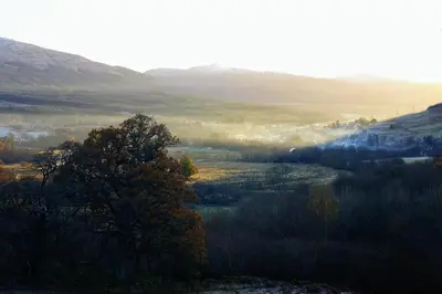 a foggy valley with a tree in the foreground at Cosy Rowan woodland lodge no1 in Killin
