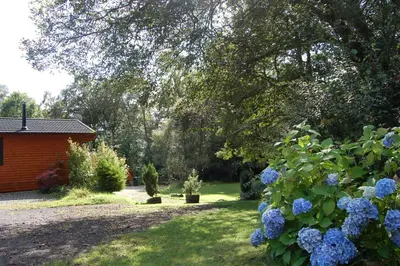 a garden with blue flowers and a building at Cosy & compact Rowan Lodge no4 in Killin