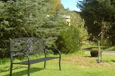 a bench sitting in the grass next to a bush at Cosy Rowan woodland lodge no3 in Killin