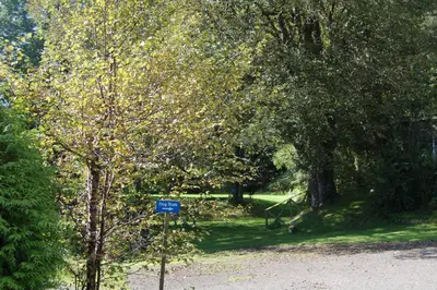 a blue sign in the middle of a park with trees at Cosy & compact Rowan Lodge no2 in Killin