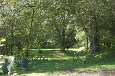a park with trees and a swing set in the grass at Woodland Gean Lodge in Killin