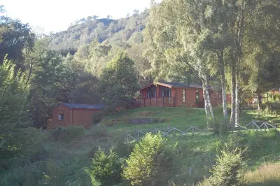 a cabin in the middle of a hill with trees at Woodland Pine Lodge in Killin