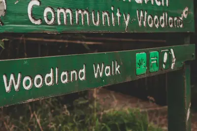 a green street sign with the words wood and walk at Crianlarich Youth Hostel in Crianlarich